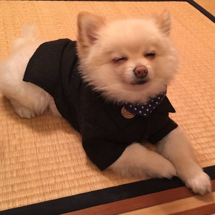 Ee054d11 433f 4d8e 8c8e 4d994360eac3 1551007522525