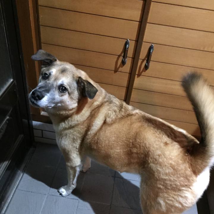 Ee0588e4 ea84 4260 a366 b7dcb96171c2 1543061140485