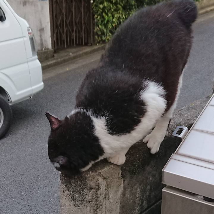 Ee05aa99 f7a1 44a0 a15b e6dca387020c 1563961336849