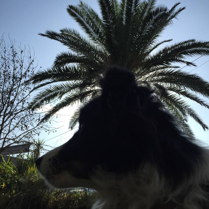 Ee05b20a 19f7 40d1 a281 2eb6a28e2113 1545614934957