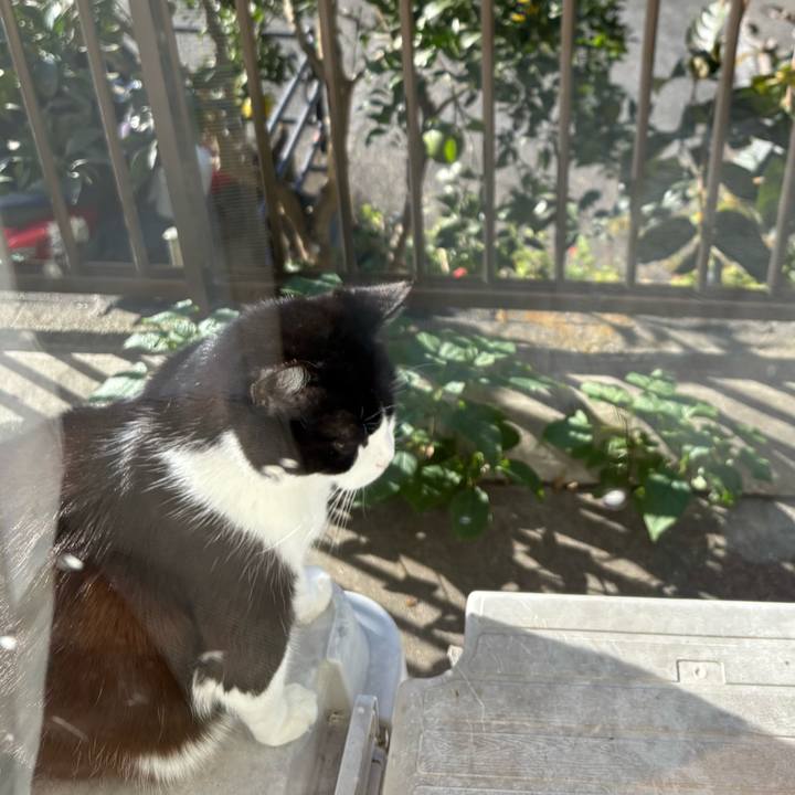 Ee05dd3b 0717 4c1b bd17 fff829bb930a 1762220328028