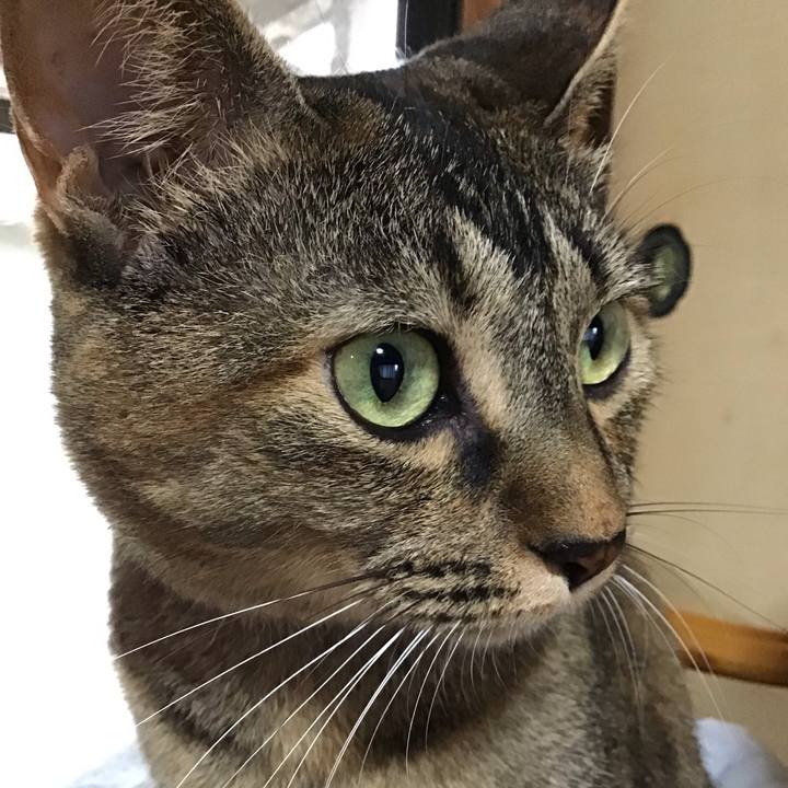 Ee05dfd9 e44b 498d b67e 0edc82510c5b 1628762880882