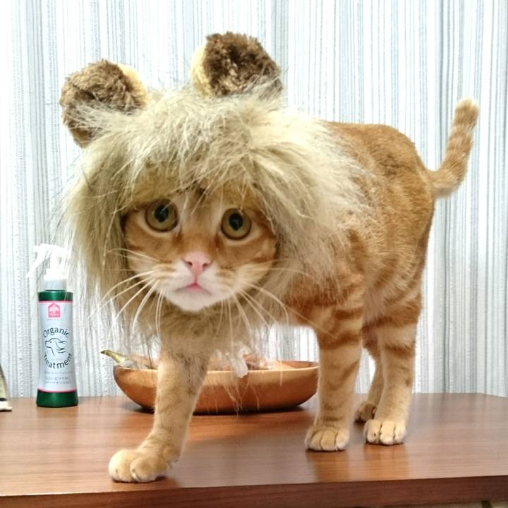 Ee05f82e 2a7d 4982 b626 d124a231dca2 1548370168788