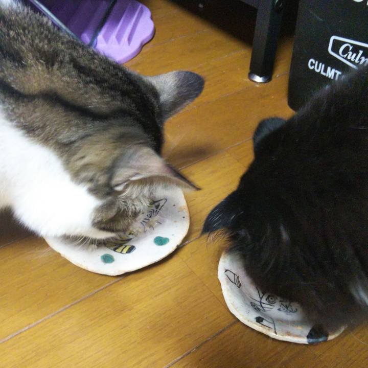 Ee068054 f65f 4978 b6a0 3a691c4878e0 1646185162284