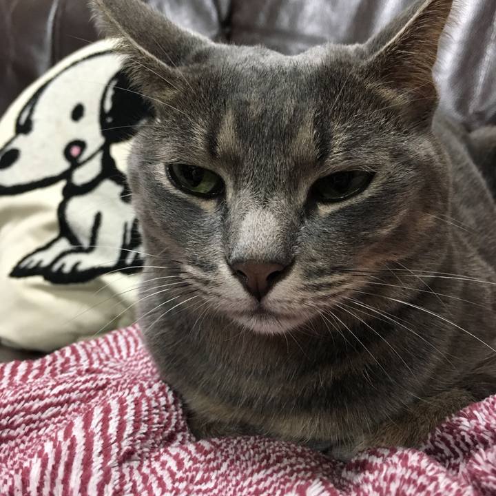 Ee06a113 4666 4491 bf09 04cb651ecea1 1568803545448