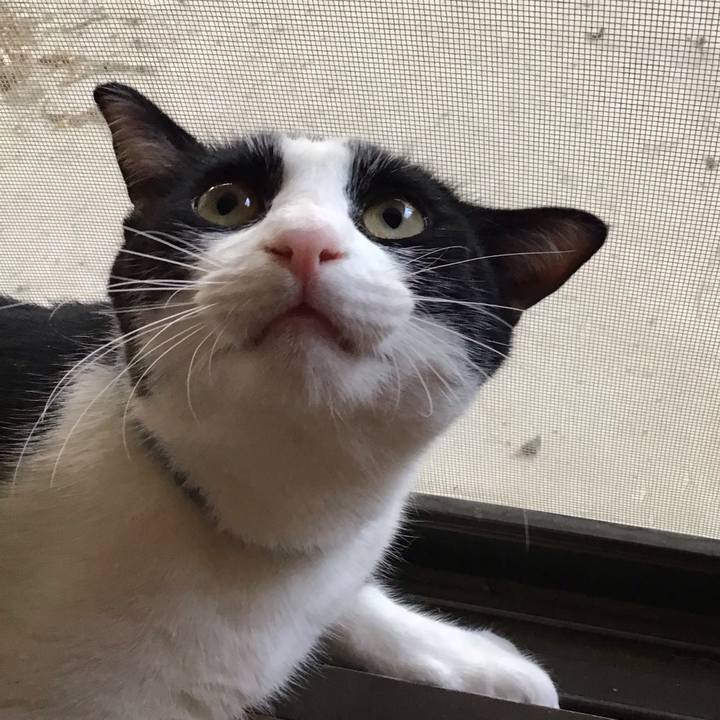 Ee06e6a7 671e 499a 95d8 d208e9b4e6c3 1658313159095