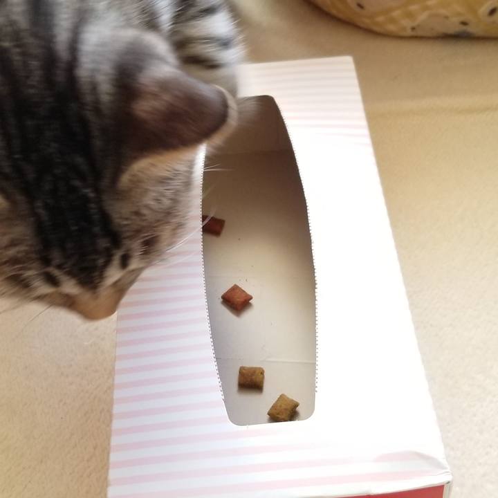 Ee06ee4f 3a30 4687 b9cd 1bcfb831a073 1670311111250