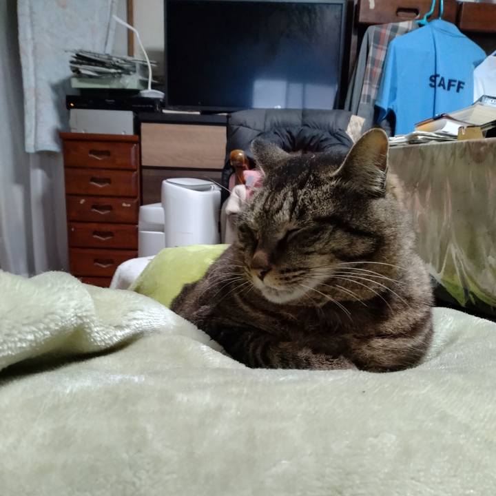 Ee06ffb8 7272 4556 bff9 613988b68fd3 1716070150537