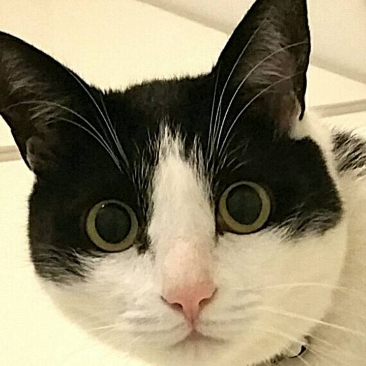 Ee070354 de65 4e5c 8fbc 99dd6081cb24 1577489973050