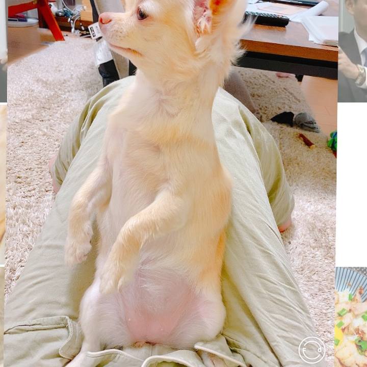 Ee07052d 9ae3 4c59 80f5 2500a8c5bf66 1629266726935