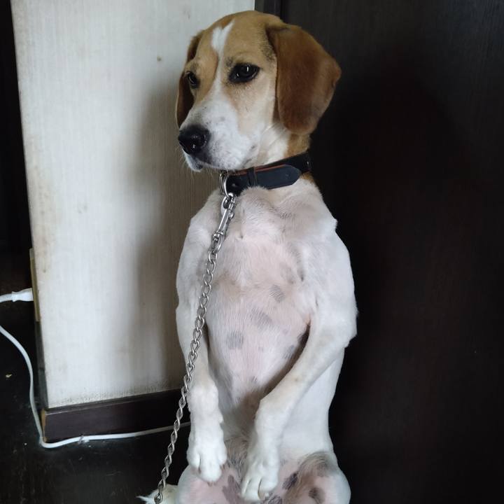 Ee0727b7 7657 4d5d ae44 561c538fd234 1660380988617