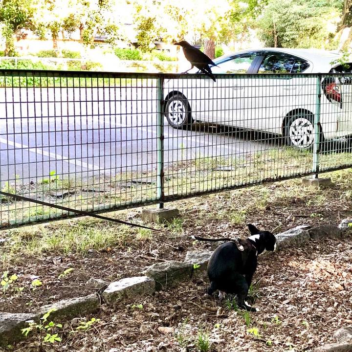 Ee075d5d 19c5 4f57 9e3a 75ecb15e81a8 1532420043584