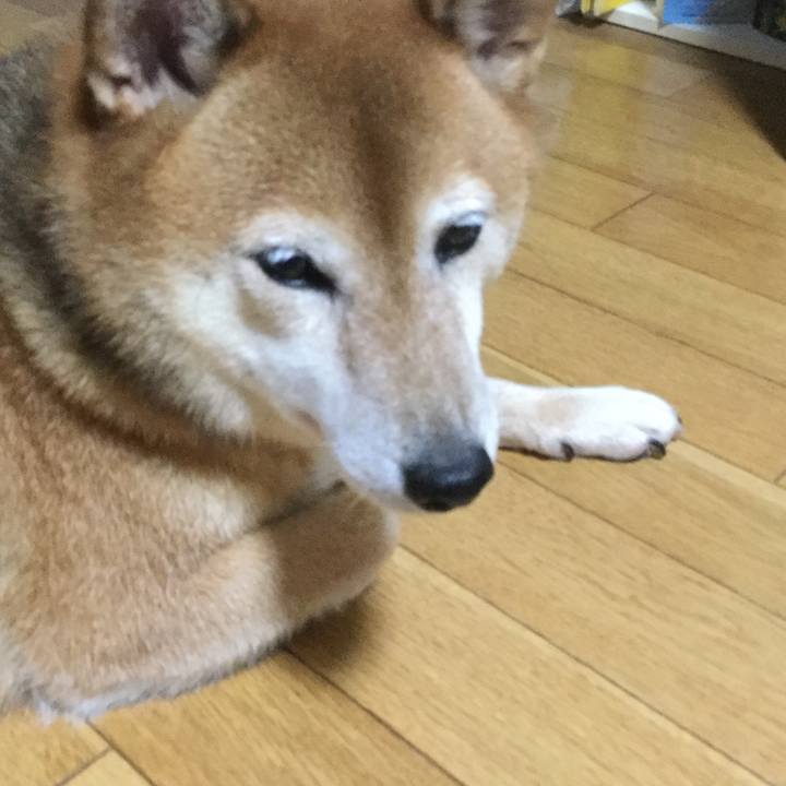 Ee07609f 8674 42d4 a838 9fe6112a7b1d 1597208195339