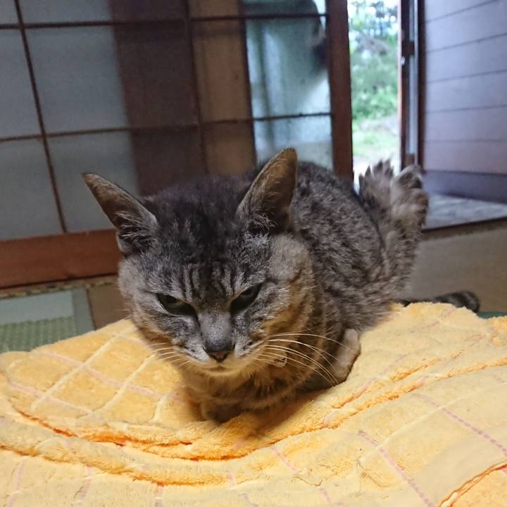 Ee076b25 224c 4d33 9f06 2ab52fe5e7df 1593160874481