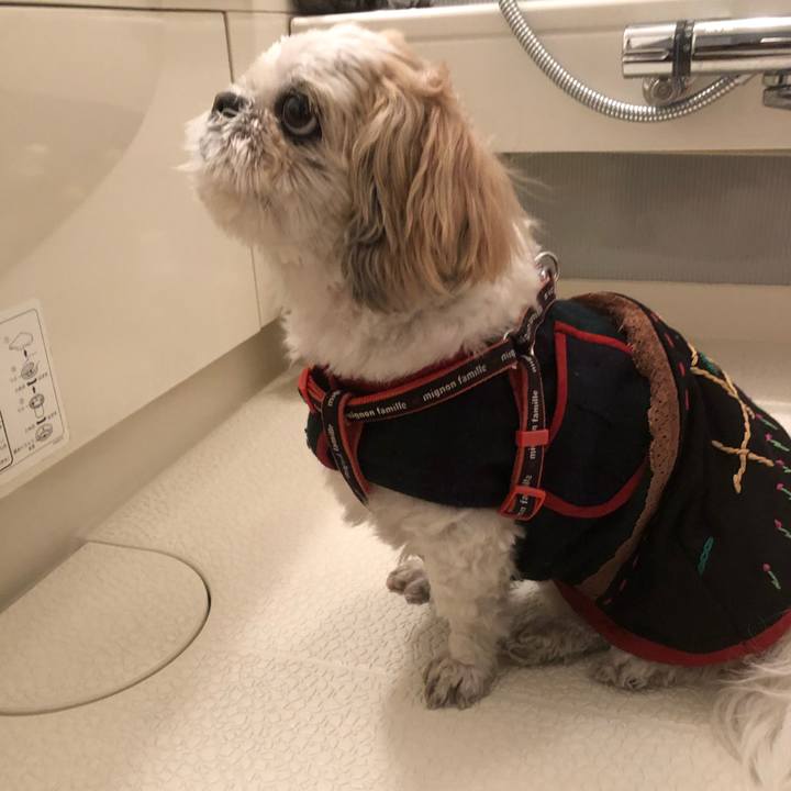 Ee076c1d ca0b 4e1b b09b 7f67d9ecb09b 1617227636646