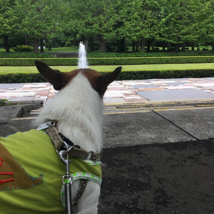 Ee077223 0b56 41ec 9a00 a41a6a84bfa9 1593472798384