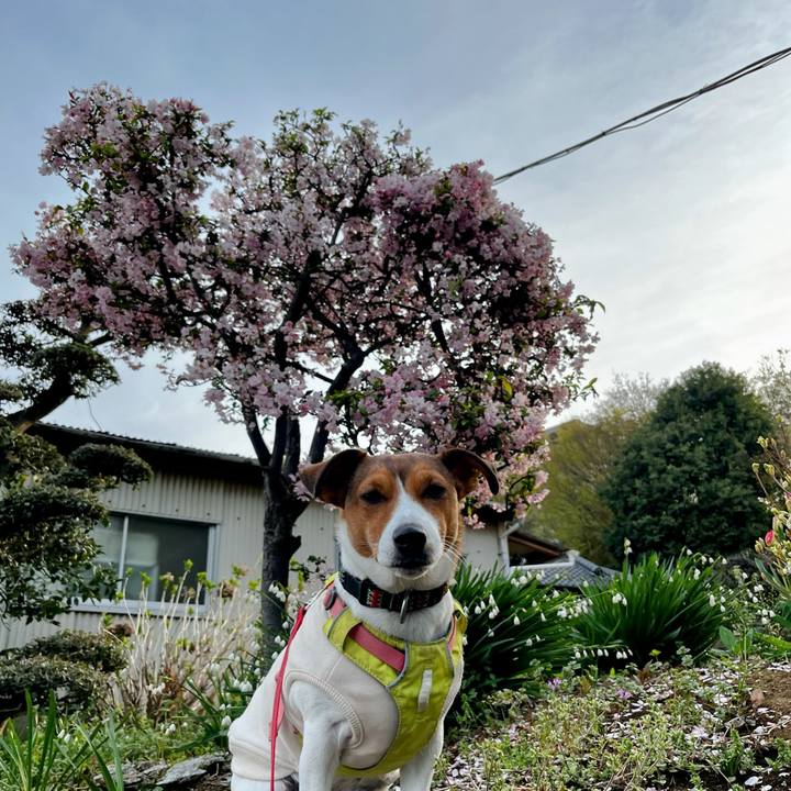 Ee0785f8 feb9 4e1f 95e7 1108579c6ec5 1744156581867