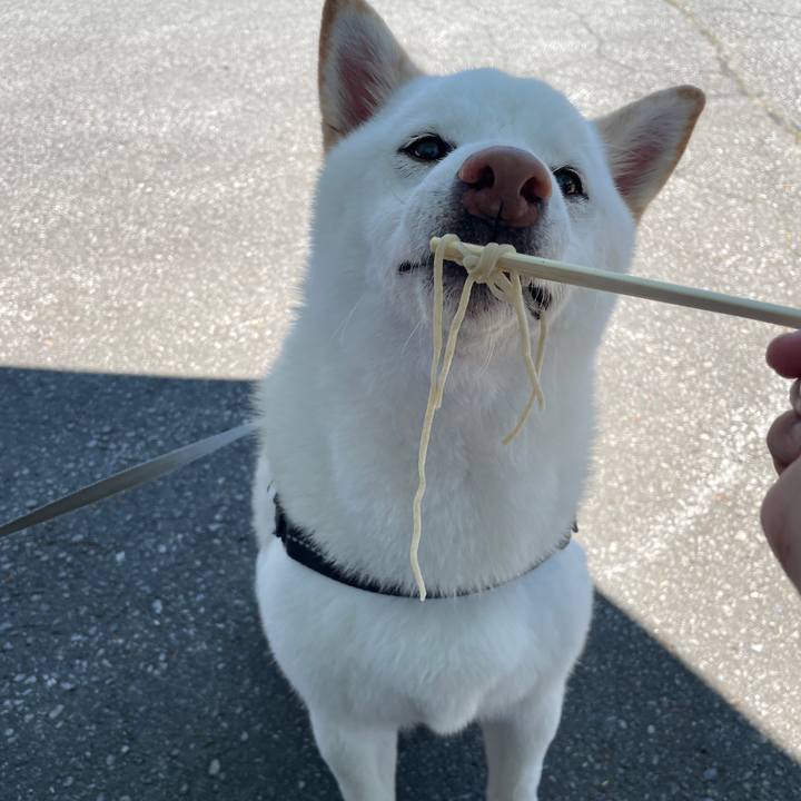 Ee0786a6 5df7 4a33 8b04 a5aa5d4df6e3 1686970850304