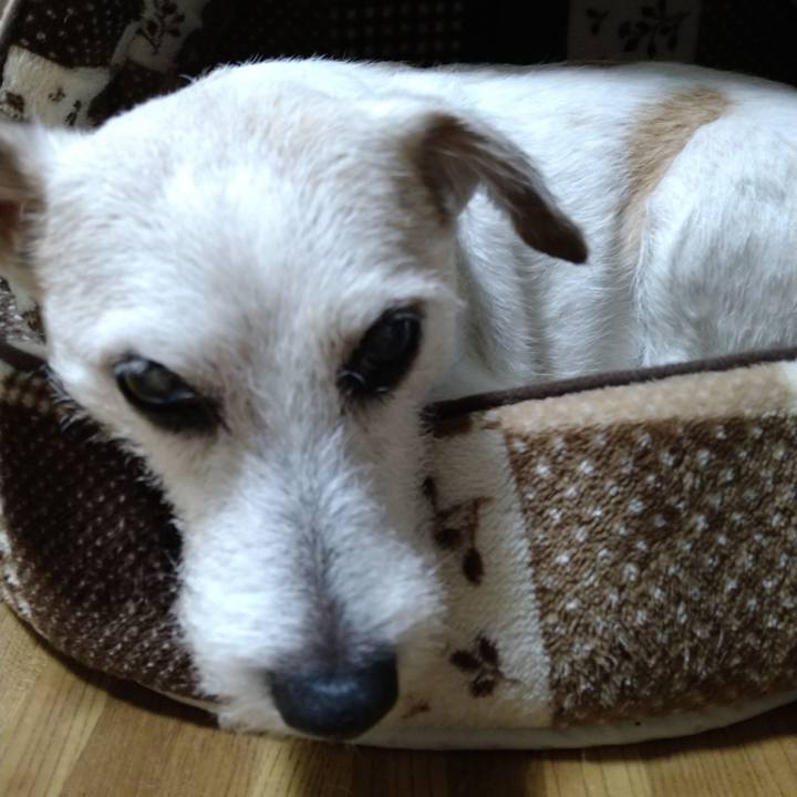 Ee079636 2a58 48cd b09c a6aace9fbb87 1728217759102