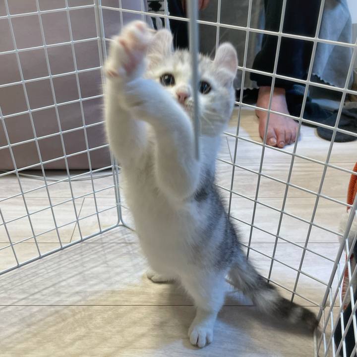 Ee07b3b0 9ffb 4453 b249 9a4e5e3937c9 1776514270041