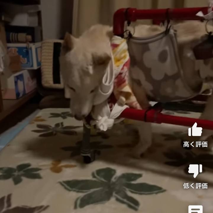 Ee0821e8 d1be 44ab 9914 0835b85cd1ab 1675028303010