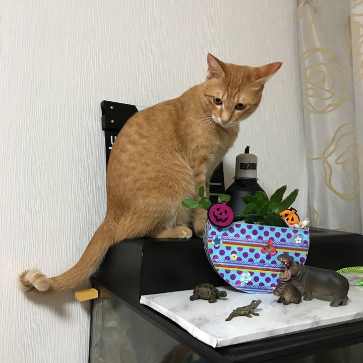 Ee0825ca 5aef 4c36 8606 186d12a5768d 1507625096545