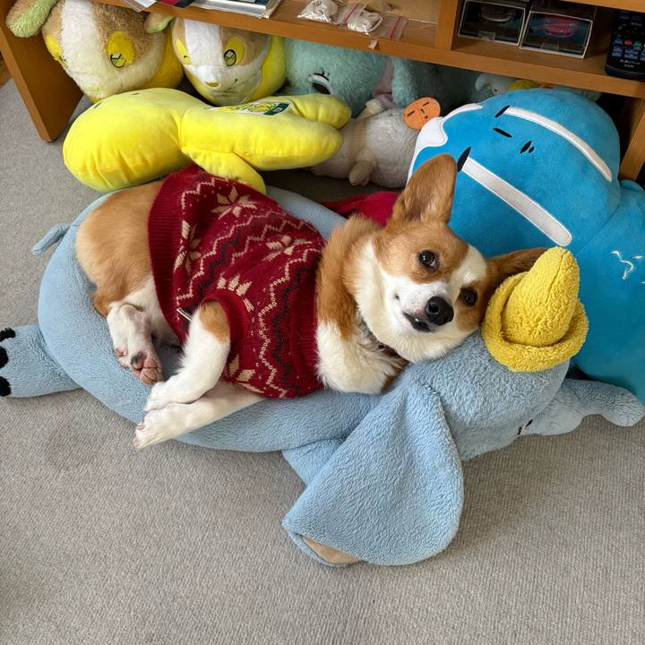 Ee0837aa bcaa 41ca be86 5313f00fdfd4 1768878778241