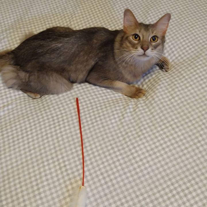 Ee085f18 6149 45b5 a01a da257fac5eea 1617024341844