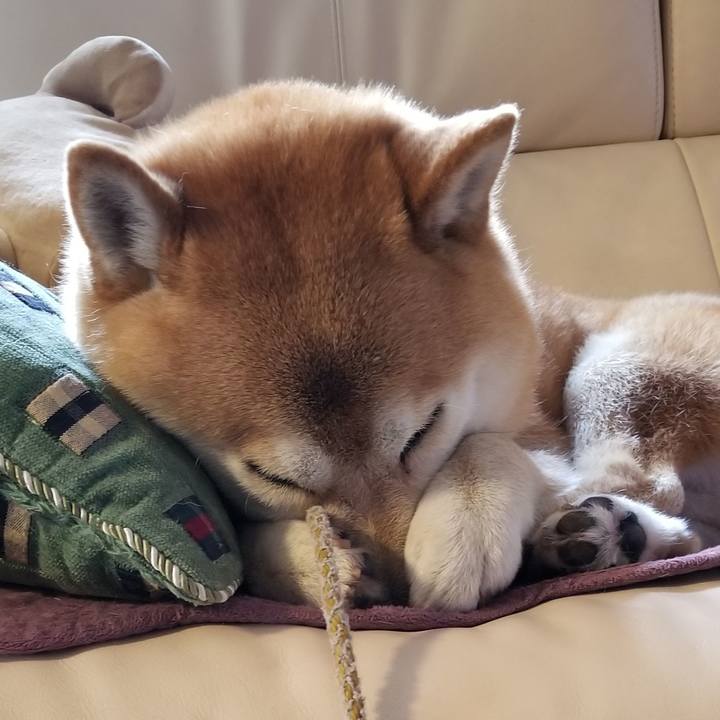 Ee086c23 ec38 441a af16 17b2e8f14334 1527118255209