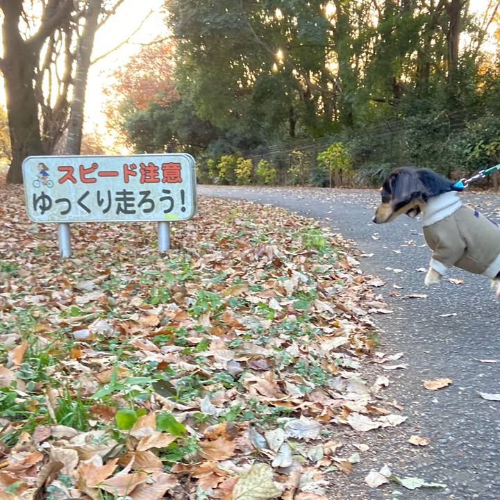 Ee089100 0d06 415c bbb7 7151f7a8ea96 1702189755625