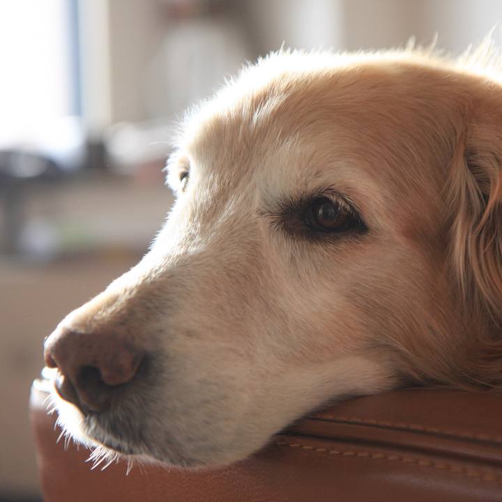 Ee089a3e 8610 4a62 af46 51f06b3016bc 1764151741307