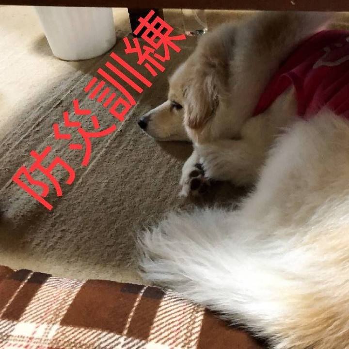 Ee089eae c115 4f4f 91a4 cd736c5fbe83 1530926560204