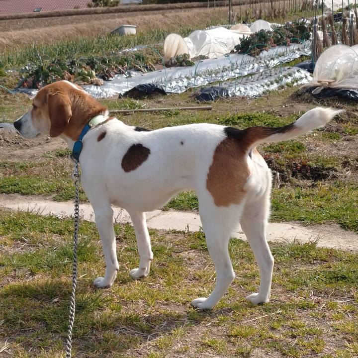 Ee08a4d2 8b90 4147 9299 0b10ed671551 1613025295653