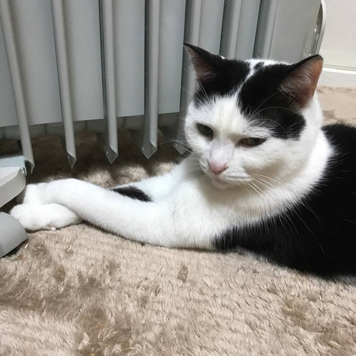 Ee08b361 bb85 4d37 8276 11d1da31a33c 1515325491164