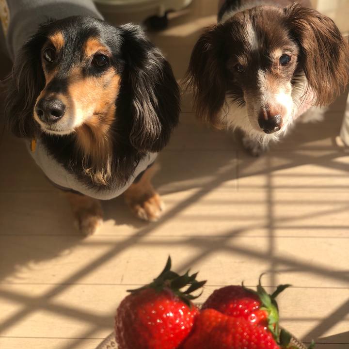 Ee08bf2a 7124 4452 b600 b6a00b81fabe 1613027772257