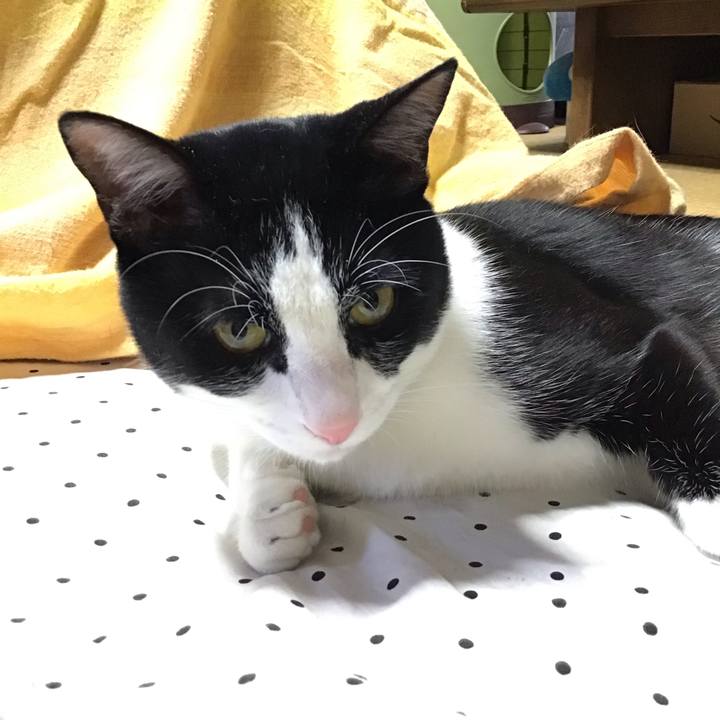 Ee08ece8 fbc5 4306 9ce7 30ae47c8c7cb 1651913213608