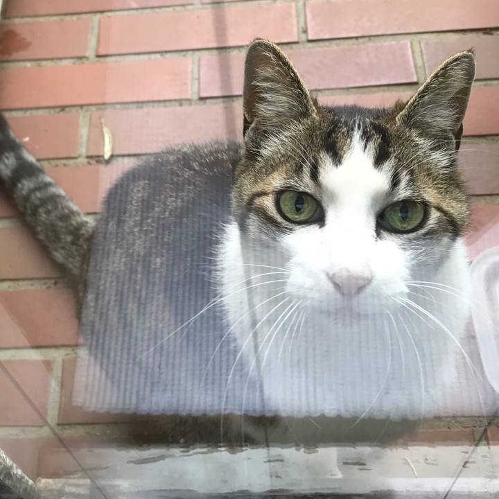 Ee08ff44 754c 4b05 8b8b 4c275e42d9da 1525060935066