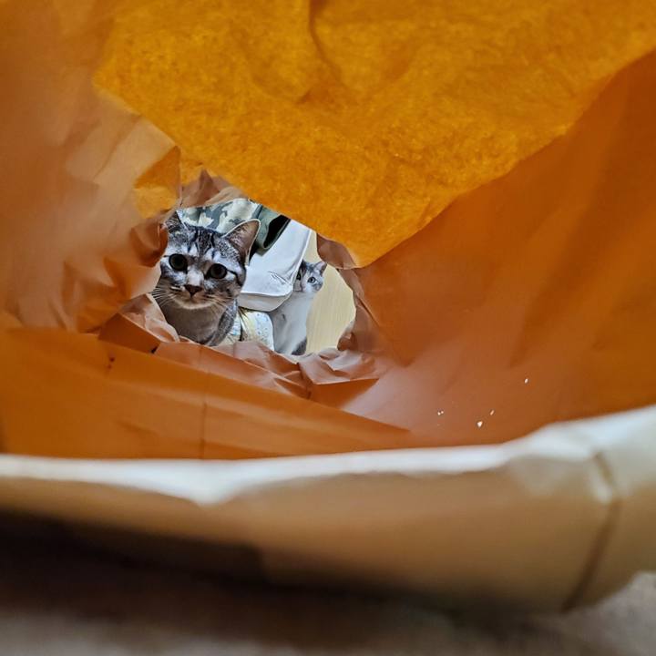 Ee09143e e1d4 47d7 9c13 3404b9d2eb78 1709606546279