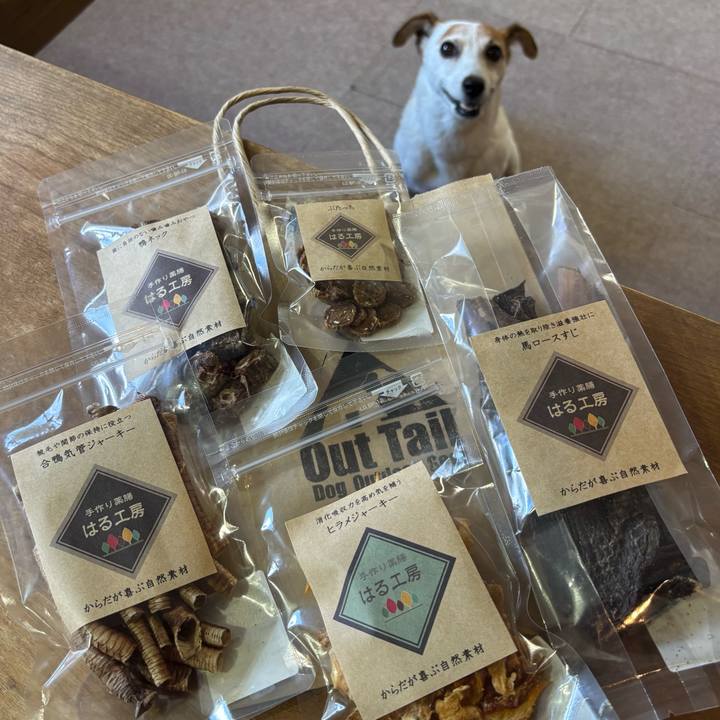 Ee09253b 08ed 498e 80f5 e5ff374cb069 1763032126370