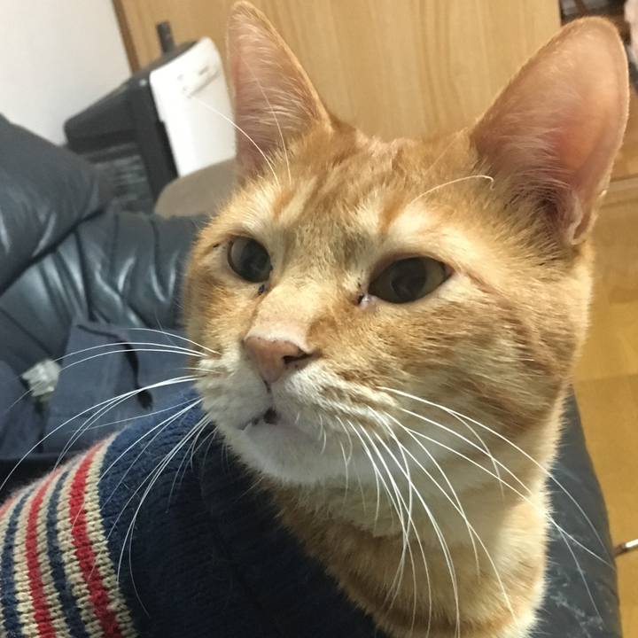 Ee093e67 2410 403e abd4 d2e8a605e9c4 1541420392490