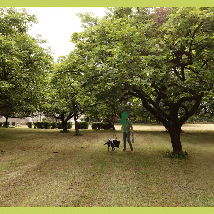 Ee093f3e ab9f 458e a69b d8c5a738f690 1750376895279