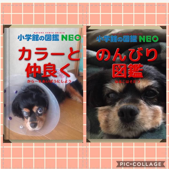 Ee094247 0002 41af aa95 c0119159e7a2 1578239038103