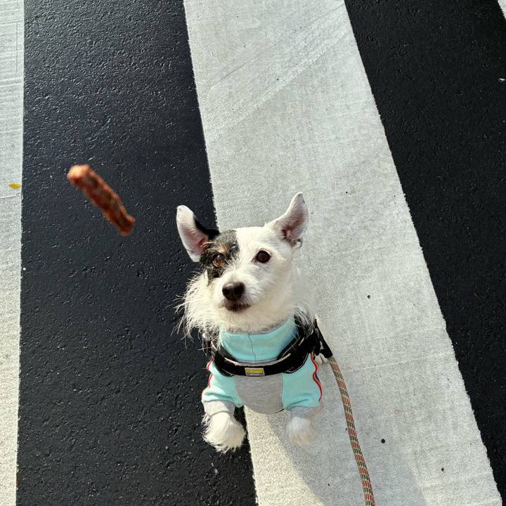 Ee099cea ca60 4679 a5f5 5c696344f7f3 1766276499542