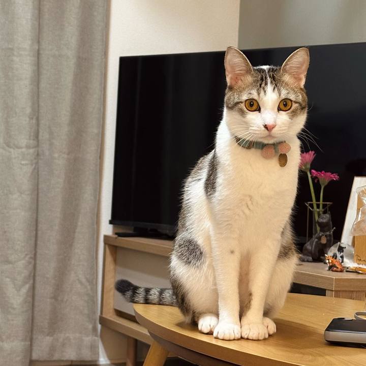 Ee09a349 bf9f 4ee1 ba18 225e8b289d6b 1770814457020