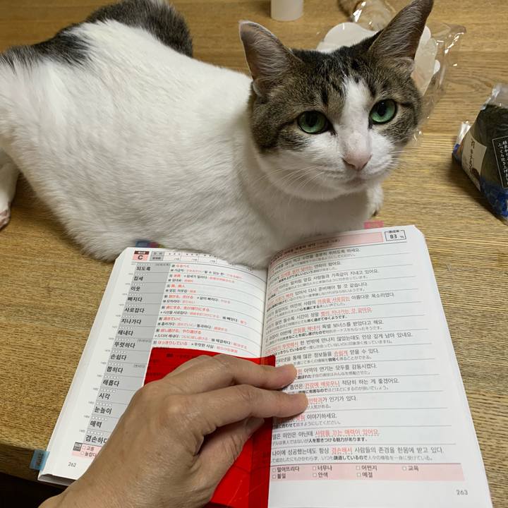 Ee09bc99 76fc 4309 adf2 951e3afae4ba 1625608618681