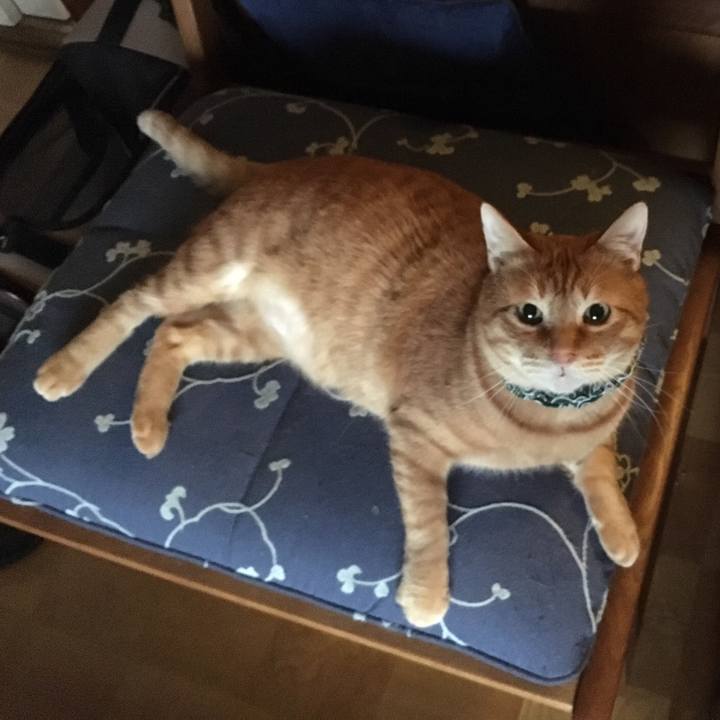 Ee09cd02 399c 4f74 9777 794c822eb9bd 1550280160928