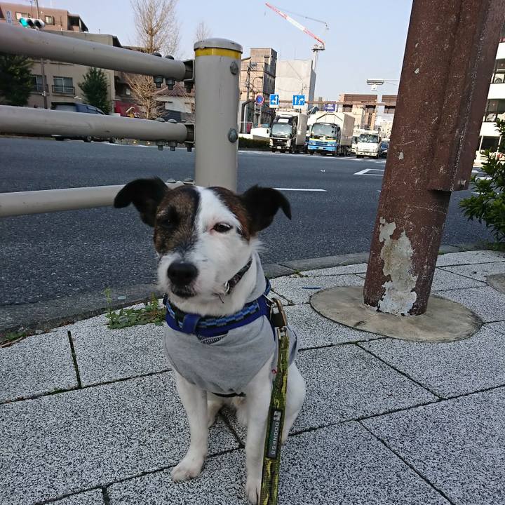 Ee09ce39 c0a5 43cc 822e 2839a075abc8 1522190356181