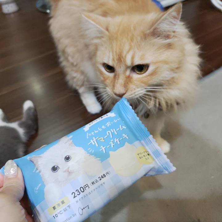 Ee09daf3 ba58 4e31 8e5d ab322175f1c0 1722337429472