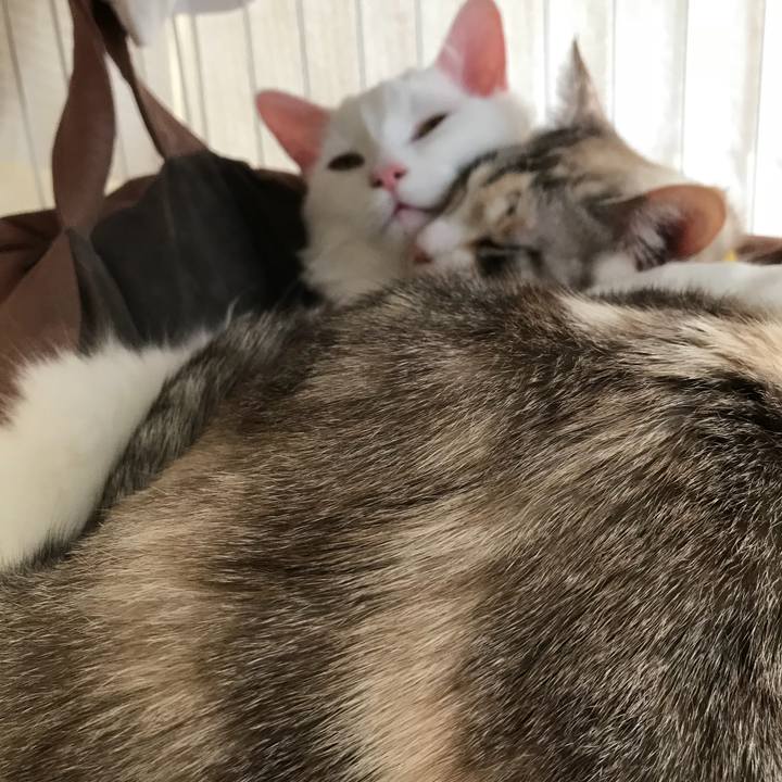 Ee0a105b 09e3 4f0e 80f3 608a83865636 1517830842523