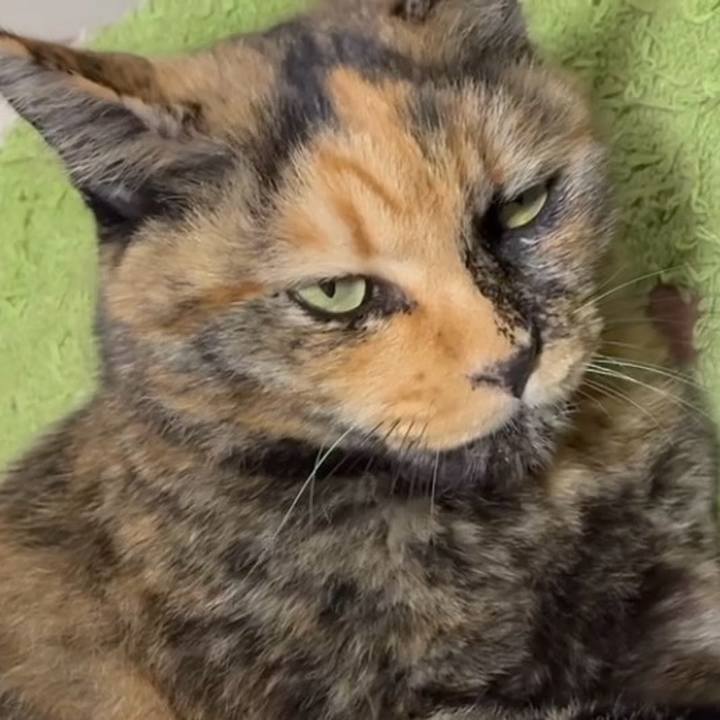 Ee0a5893 cffc 4f14 98dc d28f68368b91 1761733546543